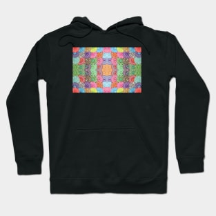 Reflections Hoodie